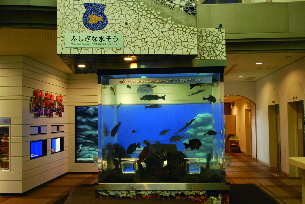 福井県海浜自然センター AsC 福井県海浜自然センター AsC